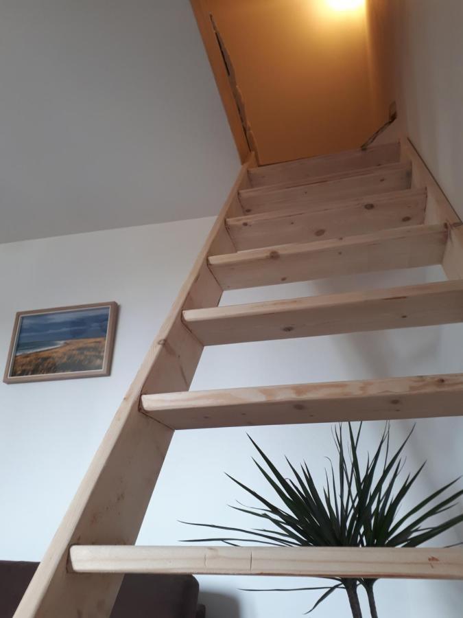 Surf Hostel Quiberon, L'Oyat Saint-Pierre-Quiberon Exterior photo